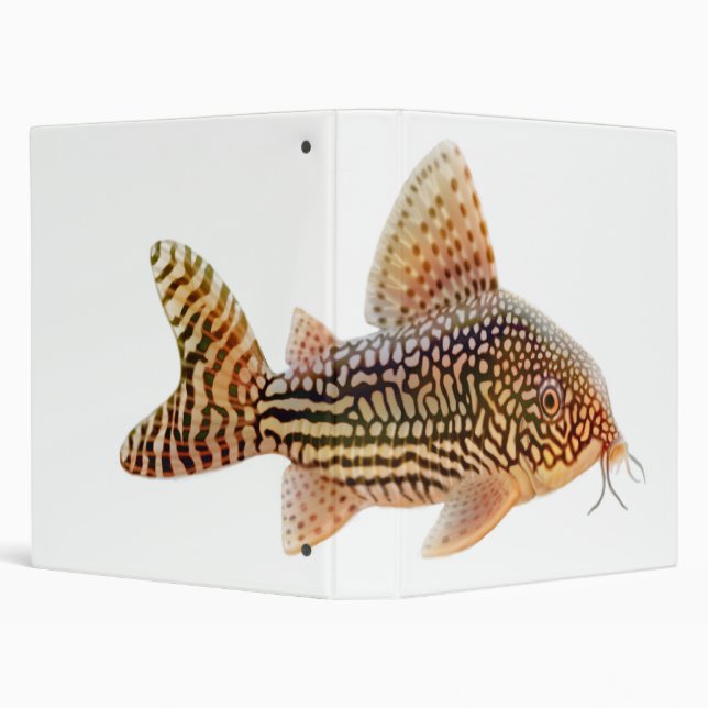 The Corydoras Sterbai Catfish Binder (Background)
