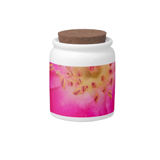 The Cosmic Rose: Nature's Deception Design Candy Jar (Front)