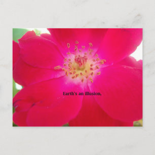 The Cosmic Rose: Nature's Deception Design Postcard
