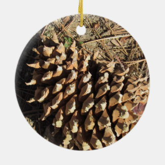 The Coulter Pinecone Ceramic Ornament
