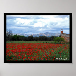 The Country Barn in the Poppy Field Poster