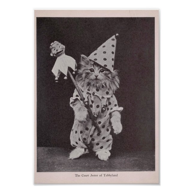 The Court Jester of Tabbyland Photo Print (Front)