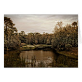 The Cove (Front Horizontal)