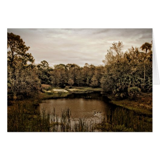 The Cove (Front Horizontal)