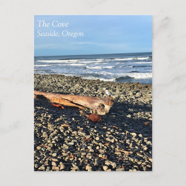 The Cove at Seaside, Oregon Postcard (Front)
