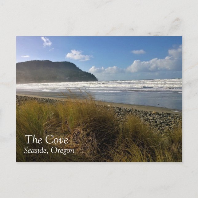 The Cove, Seaside, Oregon Postcard (Front)