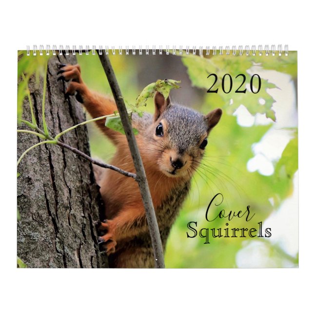 The Cover Squirrels 2020 Calendar (Cover)