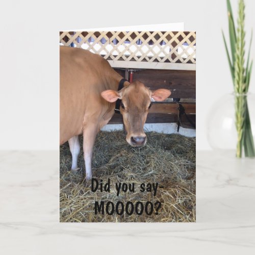 THE COW ASKS DID U SAY MOOLOVE YOU TOO CARD