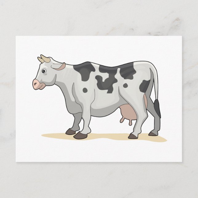 The Cow Postcard (Front)