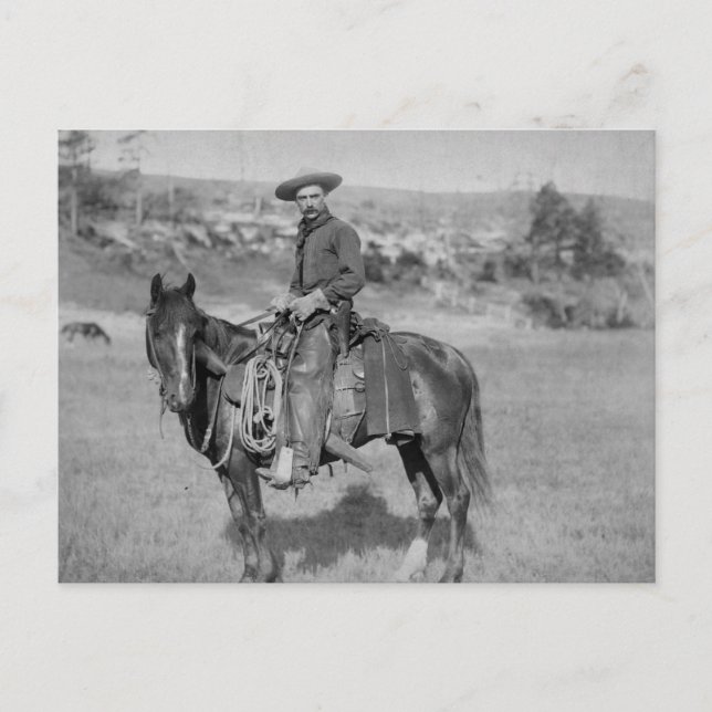 The Cowboy Postcard (Front)