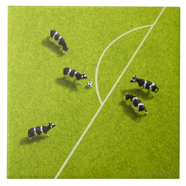 The cows playing soccer ceramic tile (Front)