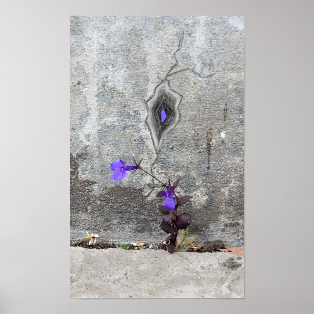 The crack in the wall poster (Front)