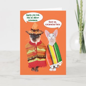 The Cranky Cats' Five Of Mayo Card by knichols1109 at Zazzle