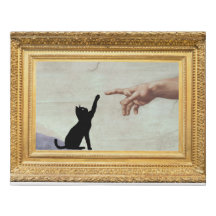 The Creation of Catdam