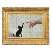 The Creation of Catdam