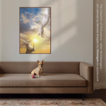 The Creation of Chihuahua - God made Chihuahuas