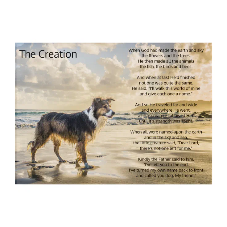 The Creation of Life and Dog Poem Acrylic Print | Zazzle