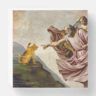 The Creation of Purrfection Wooden Box Sign