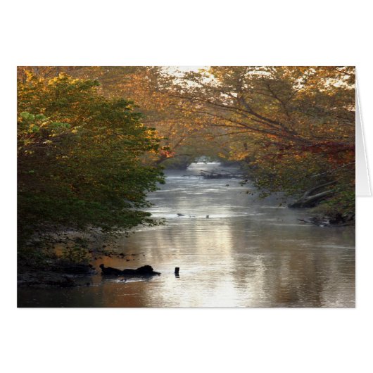The Creek Cards (Front Horizontal)
