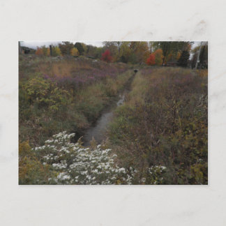 The Creek Postcard