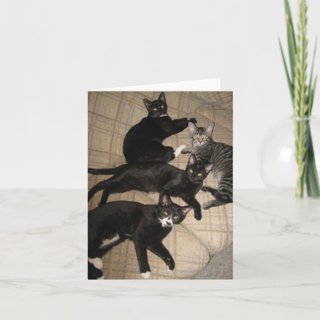 The Crew Blank Note Card (Front)