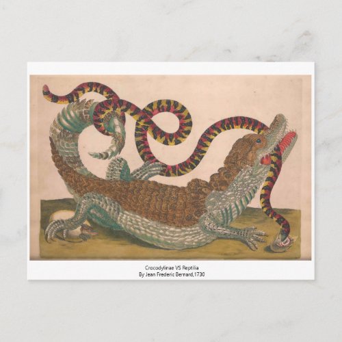 The Crocodile Vintage Zoological Sketch Postcard
