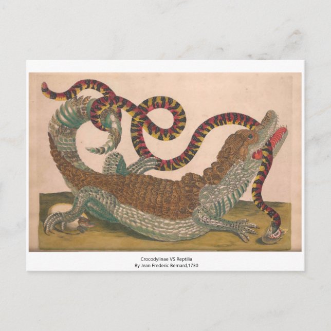 The Crocodile Vintage Zoological Sketch Postcard (Front)