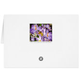 The Crocus Taster (Back Horizontal)