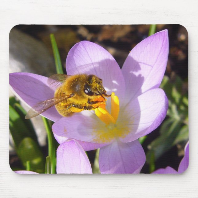 THE CROCUS TASTER # 2 ~ Mousepad (Front)