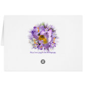 THE CROCUS TASTER ~ Card (Back Horizontal)