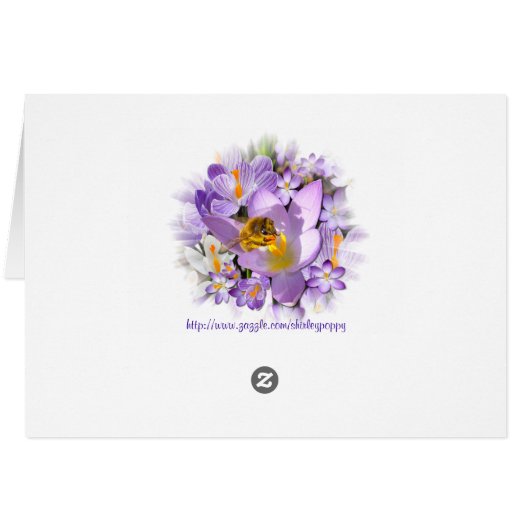 THE CROCUS TASTER ~ Card (Back Horizontal)