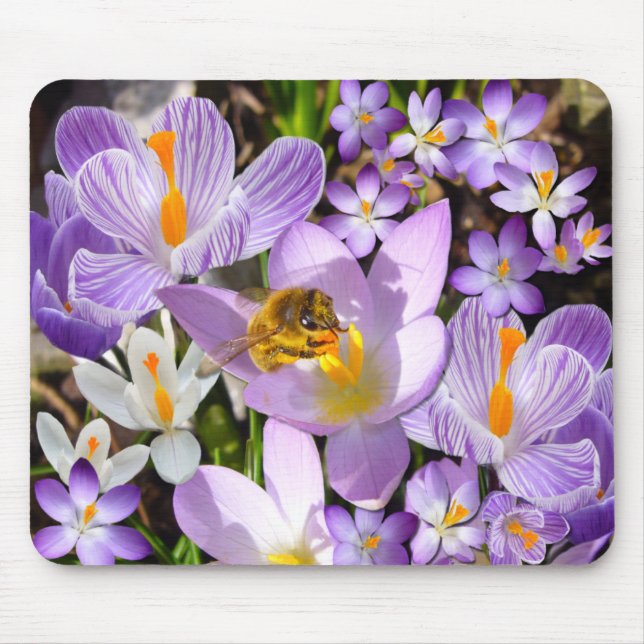 THE CROCUS TASTER ~ Mousepad (Front)
