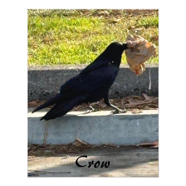 The Crow Photo Print (Front)