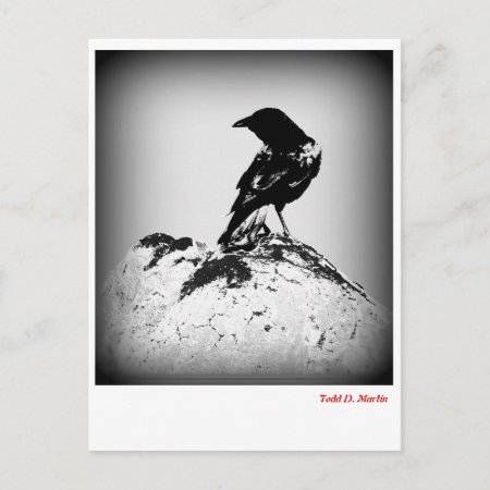 The Crow Post Card