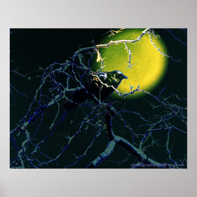 The Crow poster (Front)