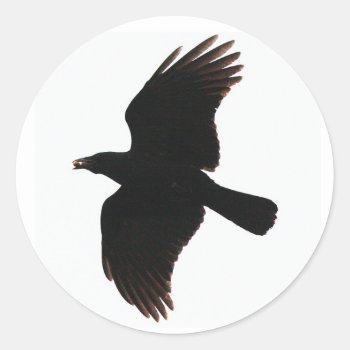 The Crow Round Stickers by Theraven14 at Zazzle