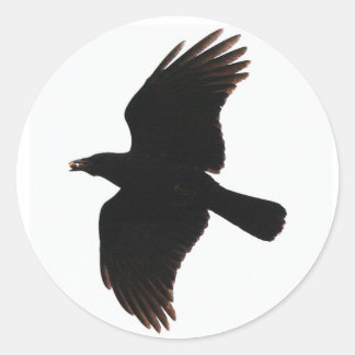 the crow round stickers