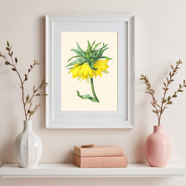 The crown imperial, Vintage botanical illustration Poster (Creator Uploaded)