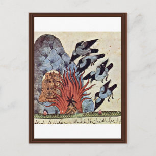 The Crows Fold Their Wings With The Fire Burning O Postcard