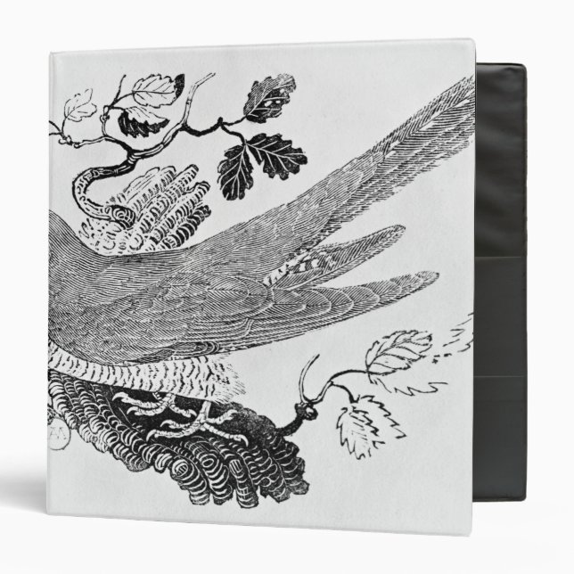 The Cuckoo 3 Ring Binder (Front/Inside)