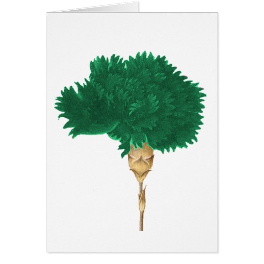 The Cult of Wilde (Front)