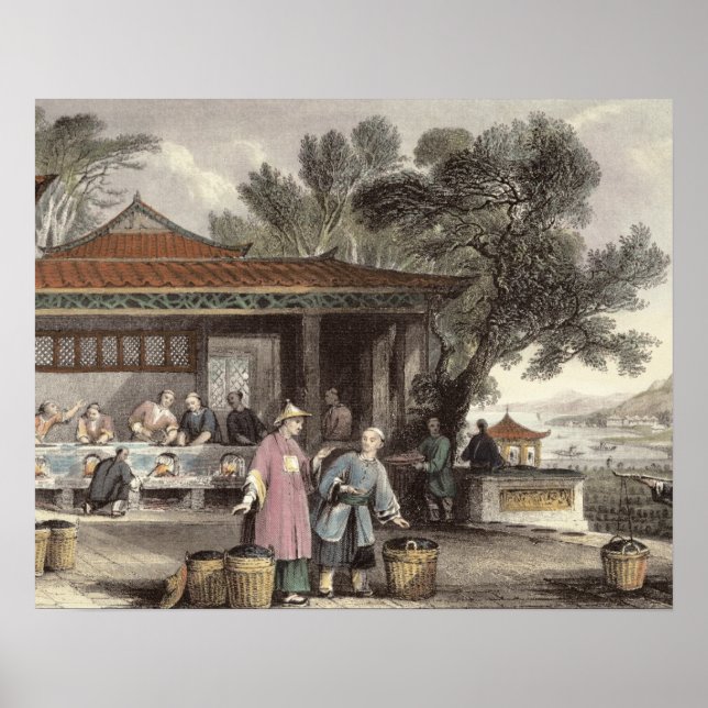 The Culture and Preparation of Tea, from 'China in Poster (Front)