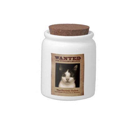 The Curious Calico Kitten Candy Jar