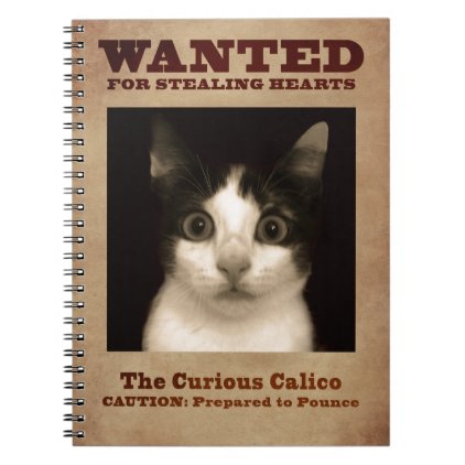 The Curious Calico Kitten Notebook