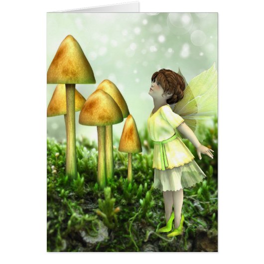 The Curious Fairy - Fairy and Toadstools Cards (Front)