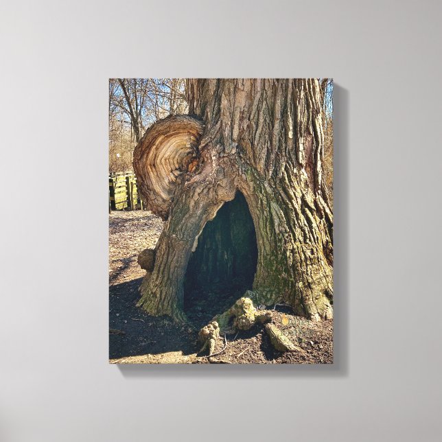 The Curious Hollow 11 x 14 Canvas Print (Front)