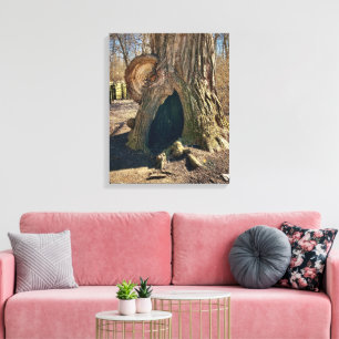 The Curious Hollow 16x20 Canvas Print
