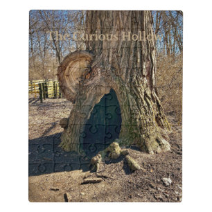 The Curious Hollow Jigsaw Puzzle