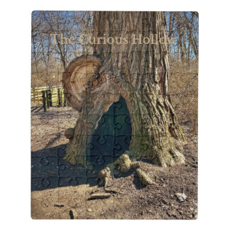 The Curious Hollow Jigsaw Puzzle