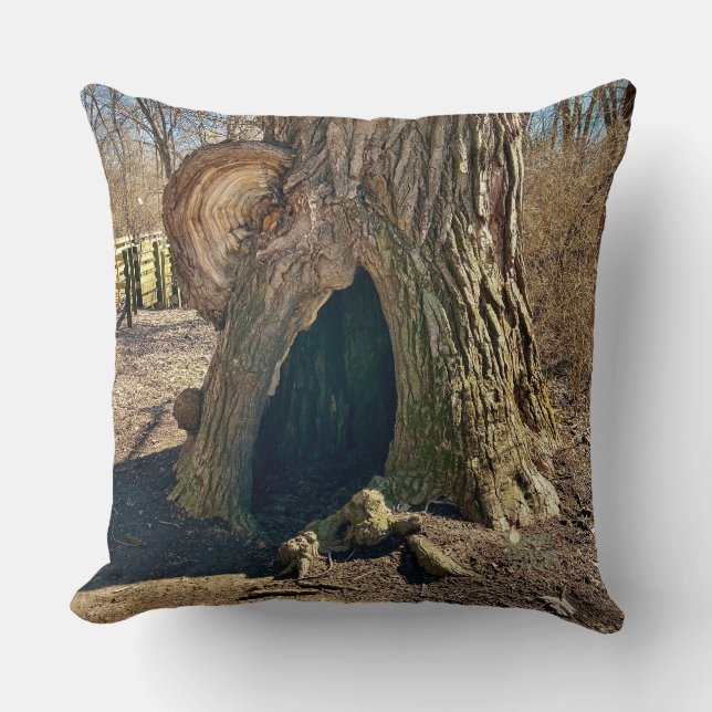 The Curious Hollow  Throw Pillow (Front)